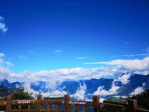 大雪山山林生態一日遊    
